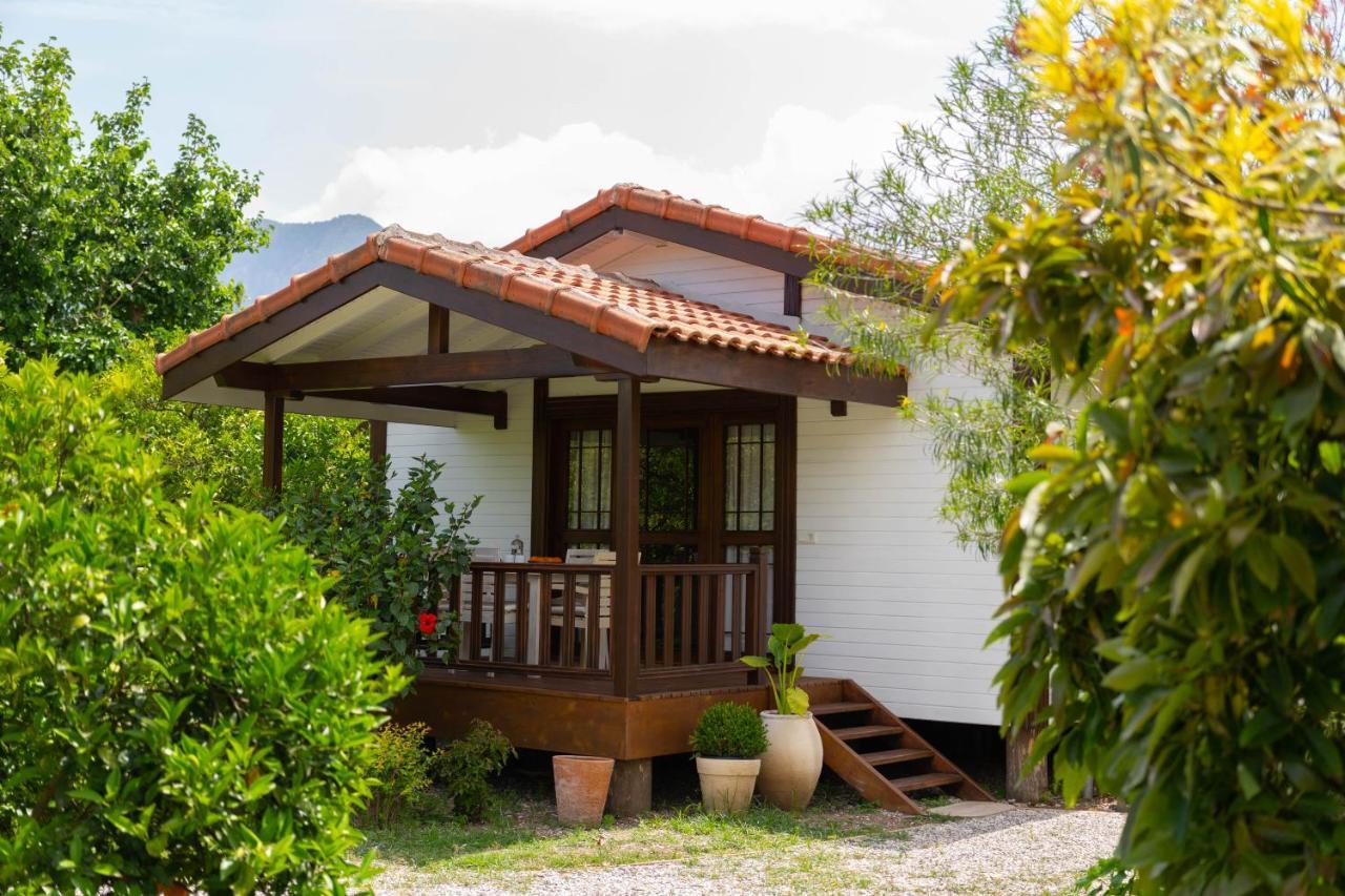 Çıralı Kimera - Akdeniz Bahcesi Apart Hotel מראה חיצוני תמונה