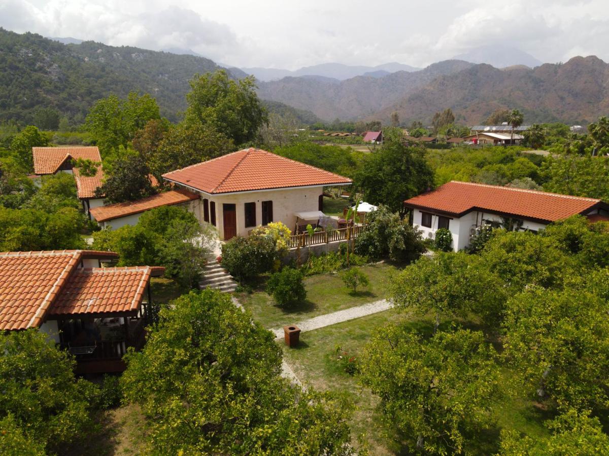 Çıralı Kimera - Akdeniz Bahcesi Apart Hotel מראה חיצוני תמונה