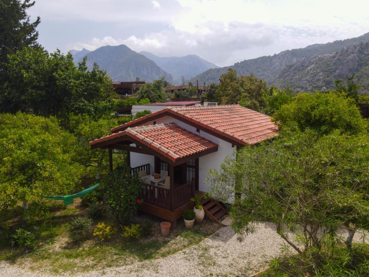 Çıralı Kimera - Akdeniz Bahcesi Apart Hotel מראה חיצוני תמונה