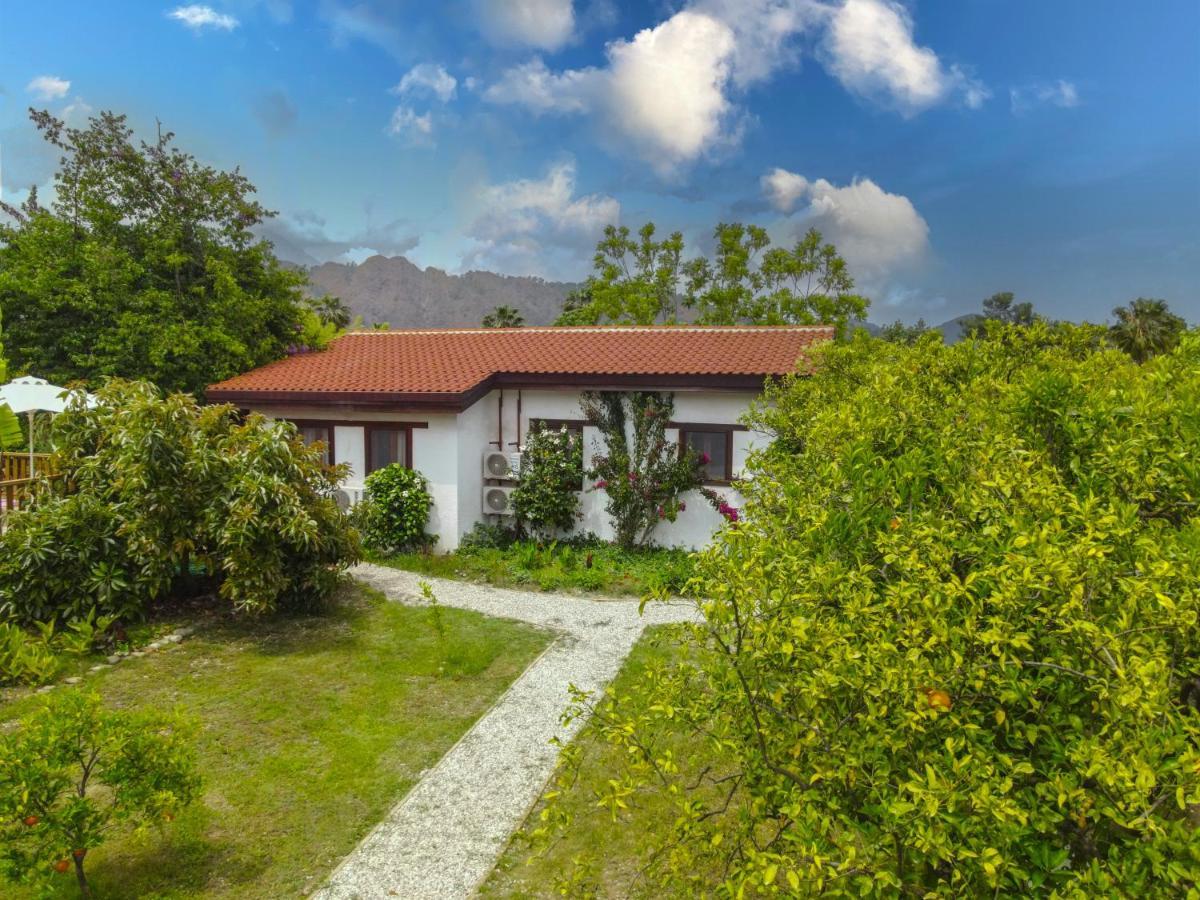 Çıralı Kimera - Akdeniz Bahcesi Apart Hotel מראה חיצוני תמונה