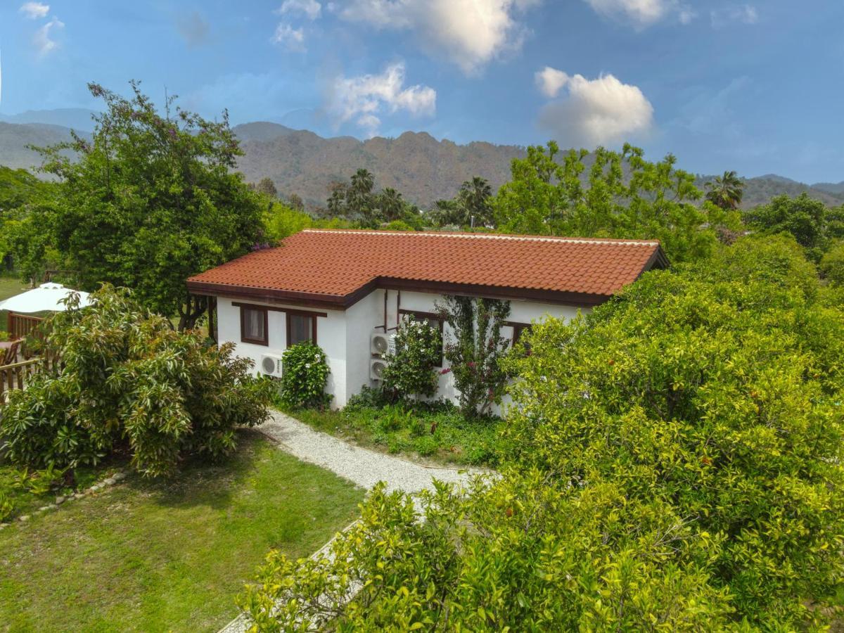 Çıralı Kimera - Akdeniz Bahcesi Apart Hotel מראה חיצוני תמונה