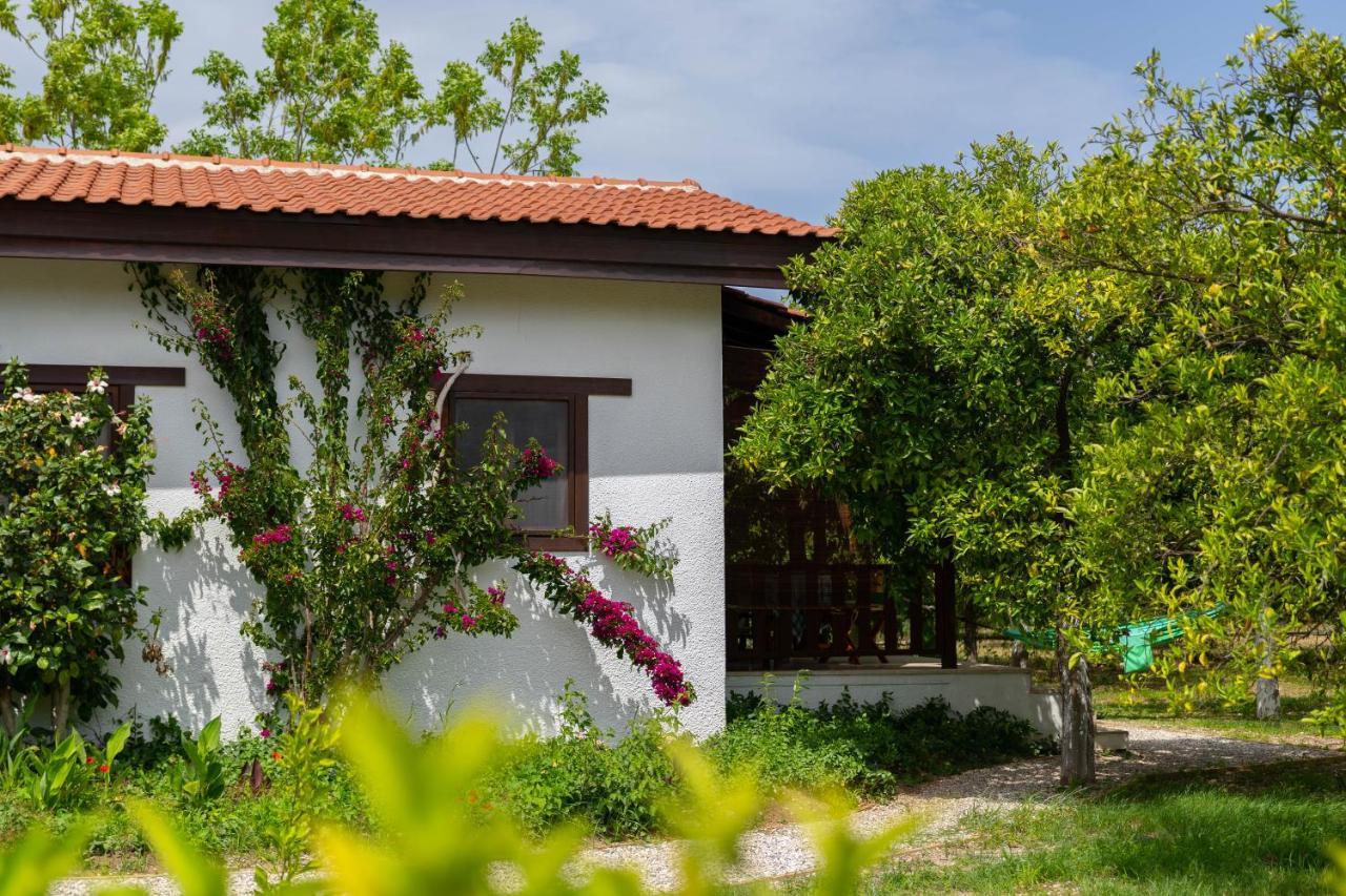 Çıralı Kimera - Akdeniz Bahcesi Apart Hotel מראה חיצוני תמונה