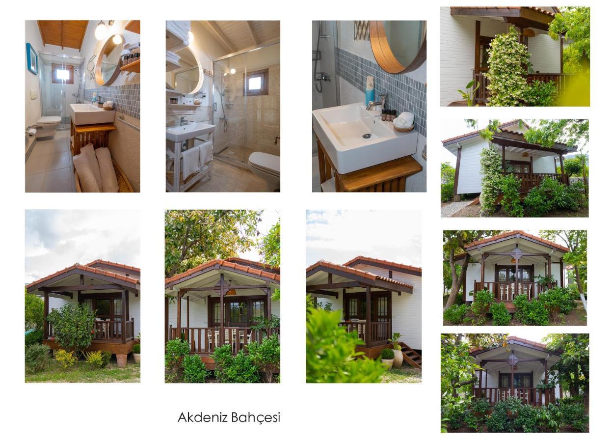 Çıralı Kimera - Akdeniz Bahcesi Apart Hotel מראה חיצוני תמונה